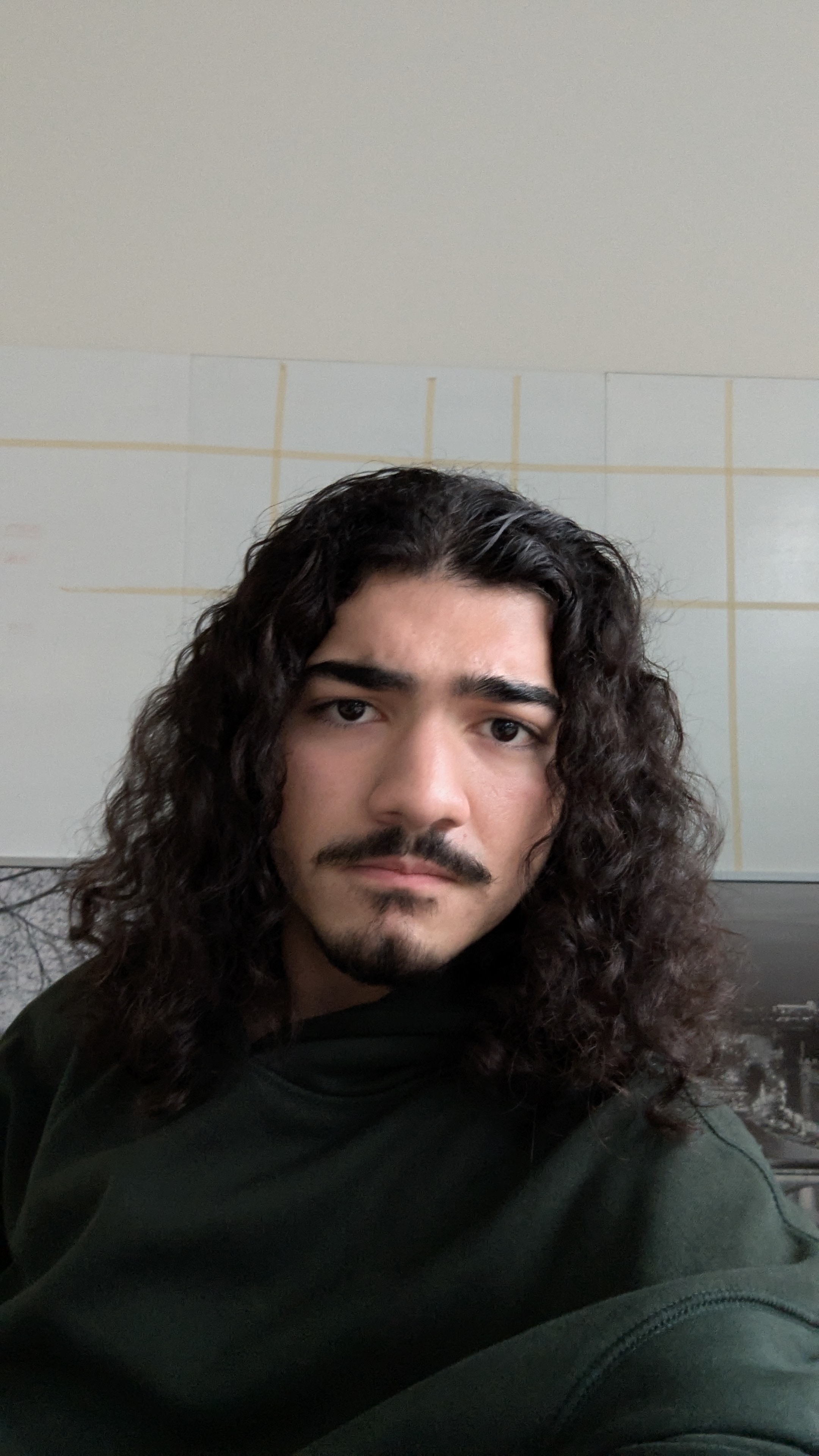 Lichtbild
